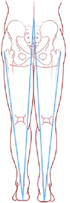 Leg Length