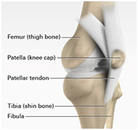 Tendinopathies